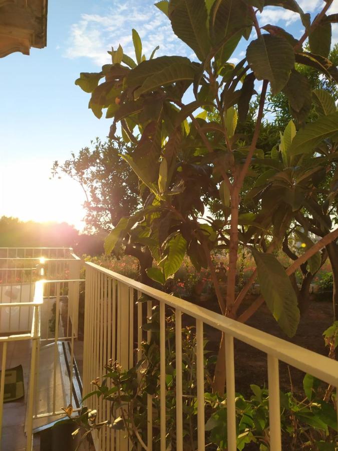 Casa Agrumeto 28 オストゥーニ エクステリア 写真
